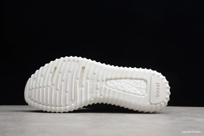 AQ4832 Boost Adidas YEEZY Dove 350 Turtle 0821